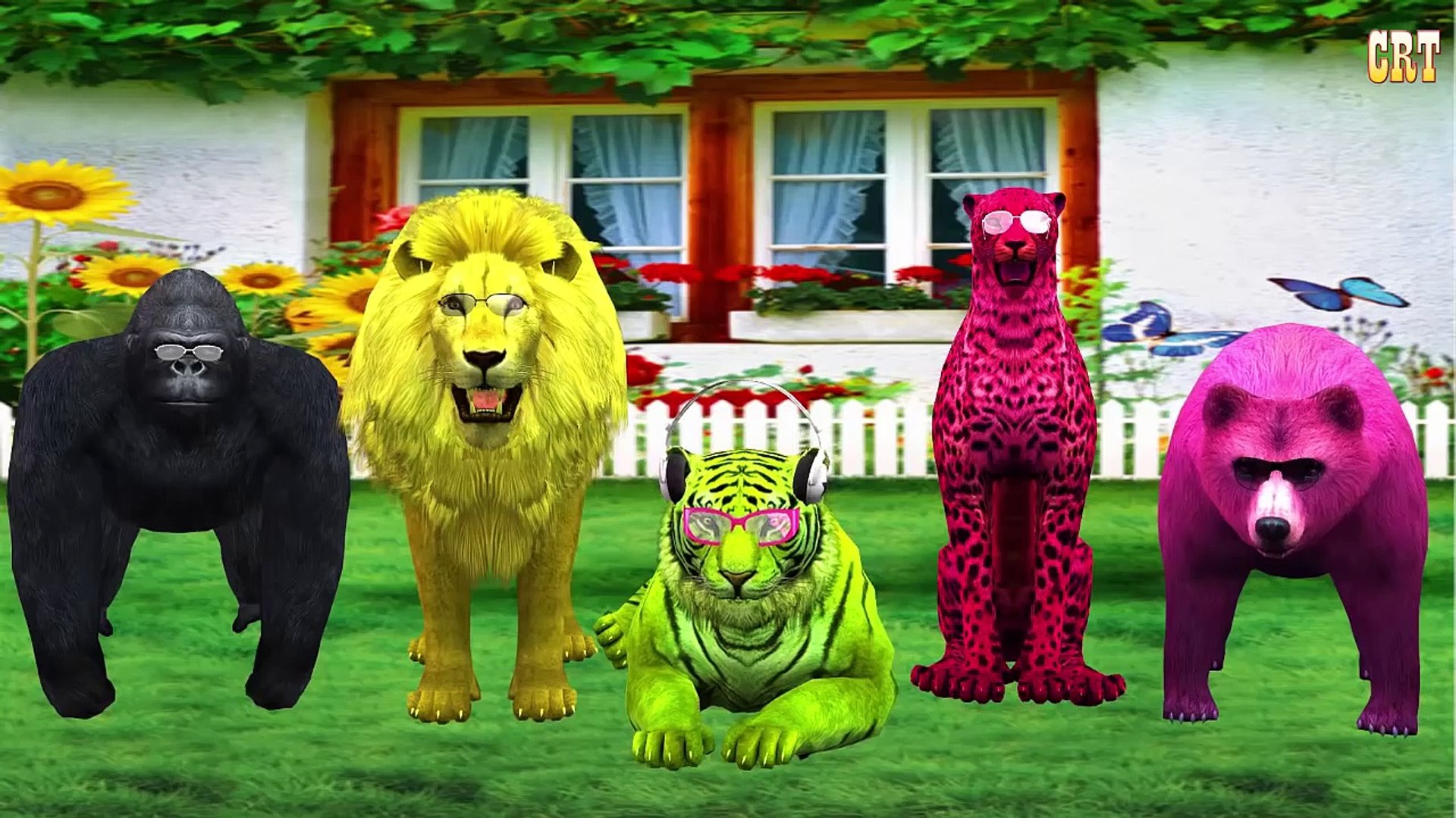 Animals #Tiger Vs #Gorilla 3D Animation Song | 3D Nursery rhyme Collection  - Vidéo Dailymotion