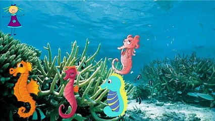 Finger Family SEAHORSE Finger Family Nursery Rhyme | SEAHORSE Cartoon 2D Animation Songs