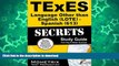 READ BOOK  TExES Languages Other Than English (LOTE) - Spanish (613) Secrets Study Guide: TExES