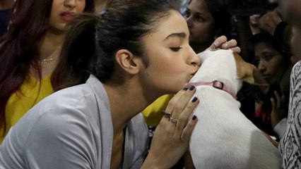VIDEO Alia Bhatt KISSING and Playing With Puppies and Kittens