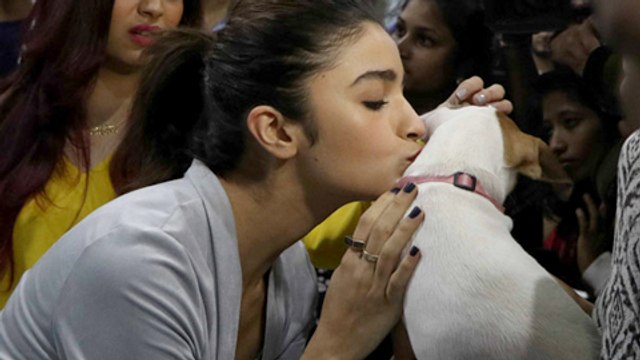 VIDEO Alia Bhatt KISSING and Playing With Puppies and Kittens
