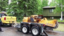 Amazing Stump Grinder - tree clearing machine - tree trimming equipment