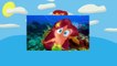 #zig and #sharko - Loony Cruise (season 1, episode 68)   Funny #cartoons for #kids