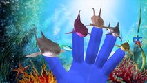 Sharks King Kong Cartoons For Children Finger Family | Dragon Finger Family Nursery Rhymes