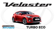 New 2016 Hyundai Veloster Turbo Eco Steering Wheel with Mounted Controls  at Morristown Hyundai, Knoxville TN