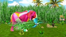 Rainbow Colors Elephant Finger Family | Elephant Vs Rhino Finger Family | Animals Cartoons For Kids