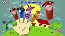 Baby Einstein Puppets Show Finger Family Songs - Daddy Finger Family Nursery Rhymes Lyrics #3