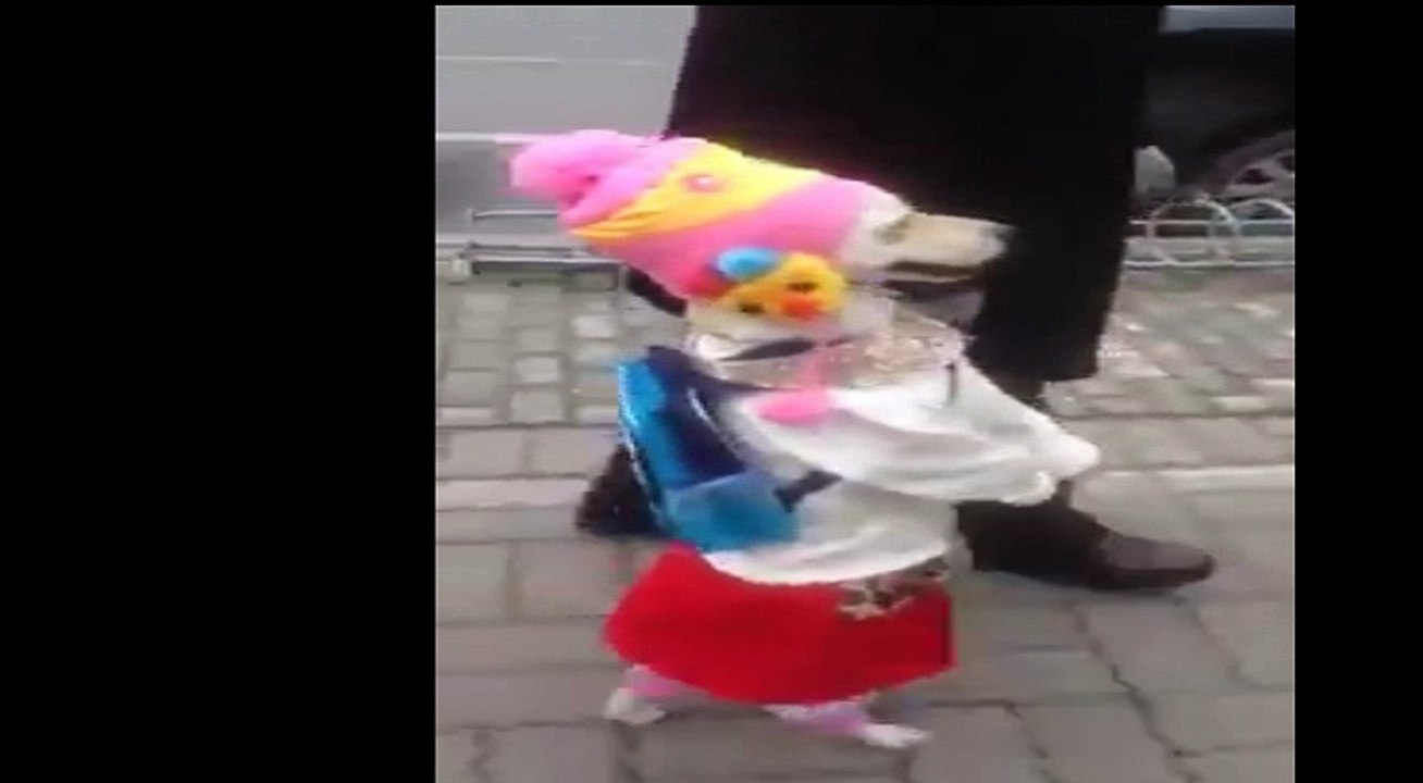 Funny Dog (aj phir kithy chali hain)
