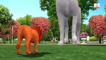 Animals Become Lilliputs | Funny Cartoon Animation | Learn Animals | Fun Learning Videos