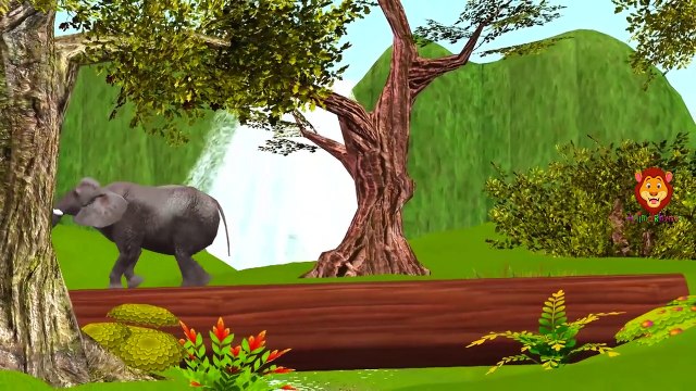Animals Short movies Compilation | Animals Cartoons For Children | Dinosaurs 3D Animation Short Film