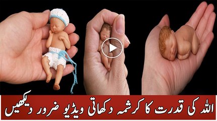 I see the manifestation of God's power shows video