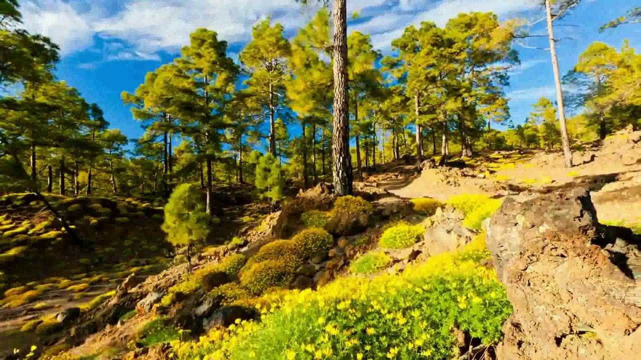 ASSIM TE AMO TANTO!!!