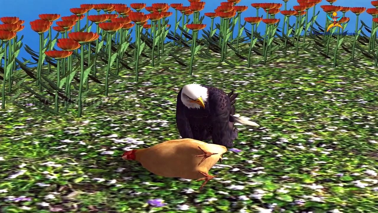 3d Hen Finger family 3d rhyme | Animated Nursery Children Finger Family song