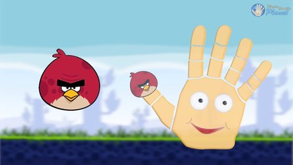 ANGRY BIRDS Finger Family Nursery Rhyme | Finger Family Planet