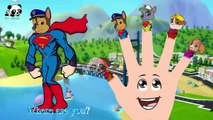 #Paw Patrol #Superman #Finger Family Songs #Nursery Rhymes Lyric & More Panda Kids