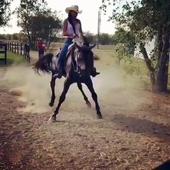spanish horse dancing