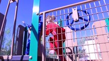 PJ Masks IRL Superhero Training In Real Life at Playground Park Owlette vs Catboy Game DisneyCarToys-OpaHTD17S0Y