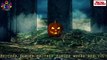 Halloween Pumpkin Finger Family | Scary Finger Family Songs For Halloween