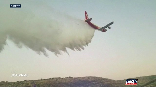Incendies en Israël : les dernières flammes semblent être maîtrisées, les habitants constatent les dégâts