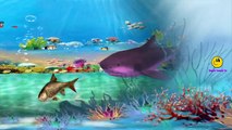 Shark Finger Family Children Nursery Rhymes | Sharks Cartoons For Babies, Kids Children