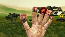 Lion Finger Family Nursery Rhymes for Children | Lion Cartoons for Kids Finger Family Rhymes