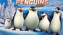 Penguins of Madagascar Finger Family Nursery Rhyme for Children 4K Video