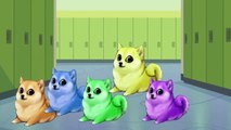 Cute Dog Cartoon Nursery Finger Family Rhymes For Children Bingo Dog Cute Finger Family Songs