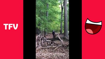 CLOWN SIGHTINGS AND PRANKS-LdR1dW4JE5U