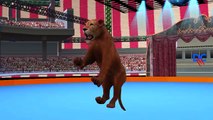 Lion Cartoon Finger Family Rhymes For Kids and Tiger Cartoons Finger Family Children Nursery Rhymes