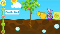 Learn the Plant Growth Cycle & How Seeds Travel in Nature - Magical Seeds by BabyBus Kids Games