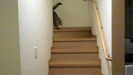 Myami Super Slow Motion