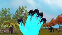 Animal 3D Gorilla Finger Family Rhymes | 3D Animated Gorilla Finger Family