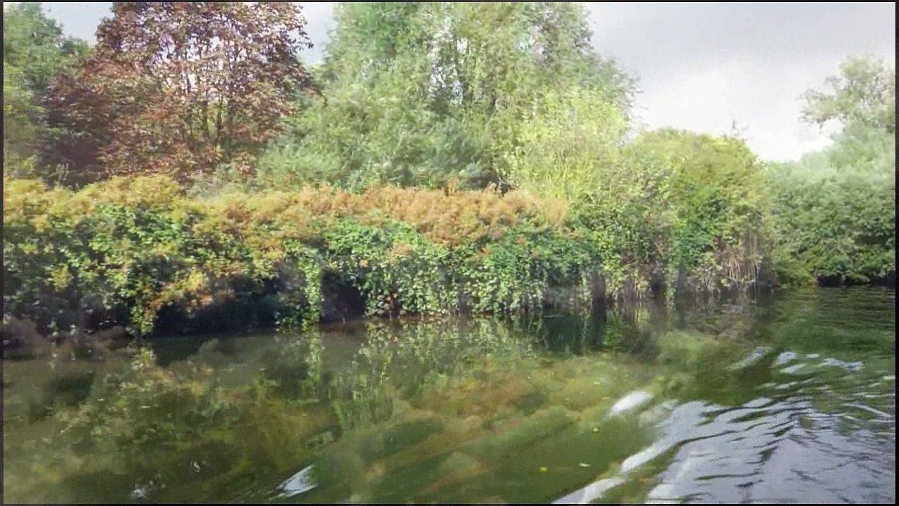 Cantec intre ape-Doru Stanculescu si Dan Andrei Aldea