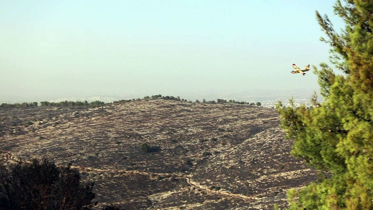 Israels Feuerwehr: Alle Großbrände unter Kontrolle