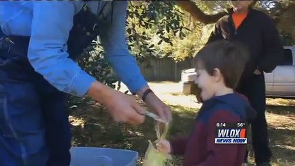 L'émouvante histoire de ce monsieur qui vendait du bois au bord de la route