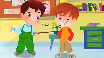 Head Shoulders Knees and Toes