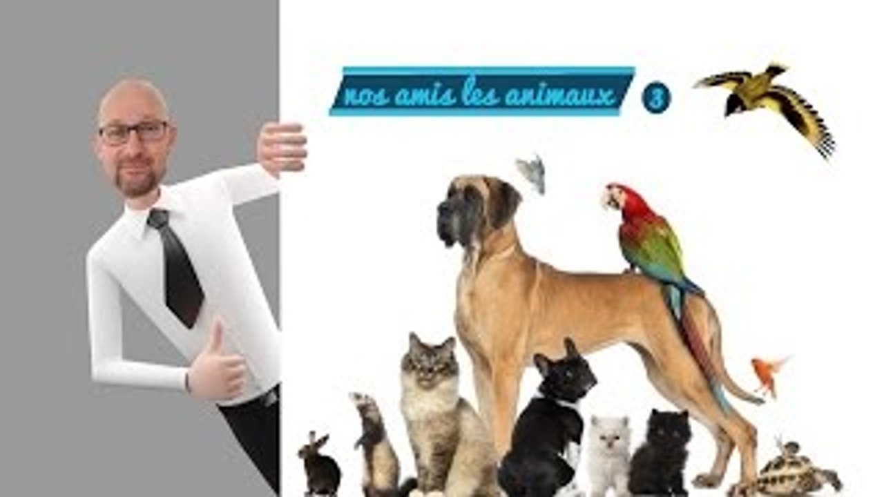 nos amis les animaux  ★ vidéo google ★ 3