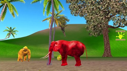 Rainbow Dinosaur Vs King Kong Finger Family | Elephant Finger Family | Nursery Rhymes For Children