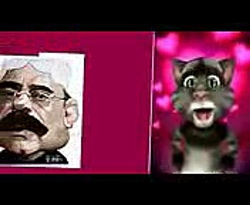 funny cat clips 2016 awaissadiq