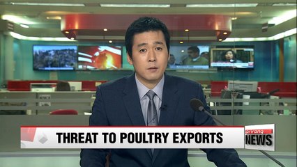 Spread of AI in Korea could deal blow to poultry exports