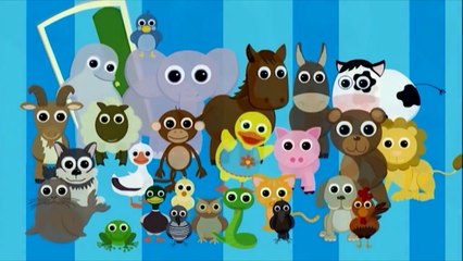 Learning Animals and Animal Sounds | Tillie Knock Knock | BabyFirst TV