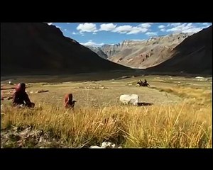 Himalaya, la Terre des Femmes