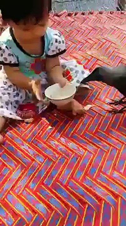 دیکھئے کیسے کوا بچی کے ہاتھ سے روٹی کا ٹکڑا کھا رہا ہے