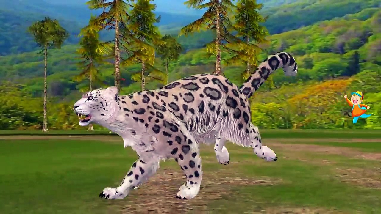 Learn Wild Animals Names And Sounds | Elephant Rhino Bear Tiger Lion Names And Sounds For Children