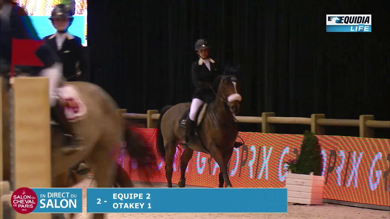 saloncheval2016 EPREUVE 5 RELAIS
