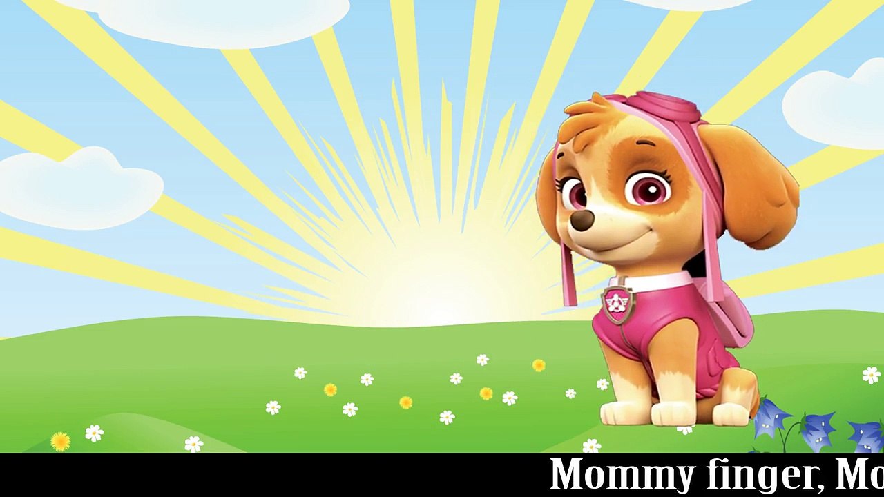 Paw Patrol Rap Finger Family | Finger Family Channel Nursery Rhymes & Songs For Children