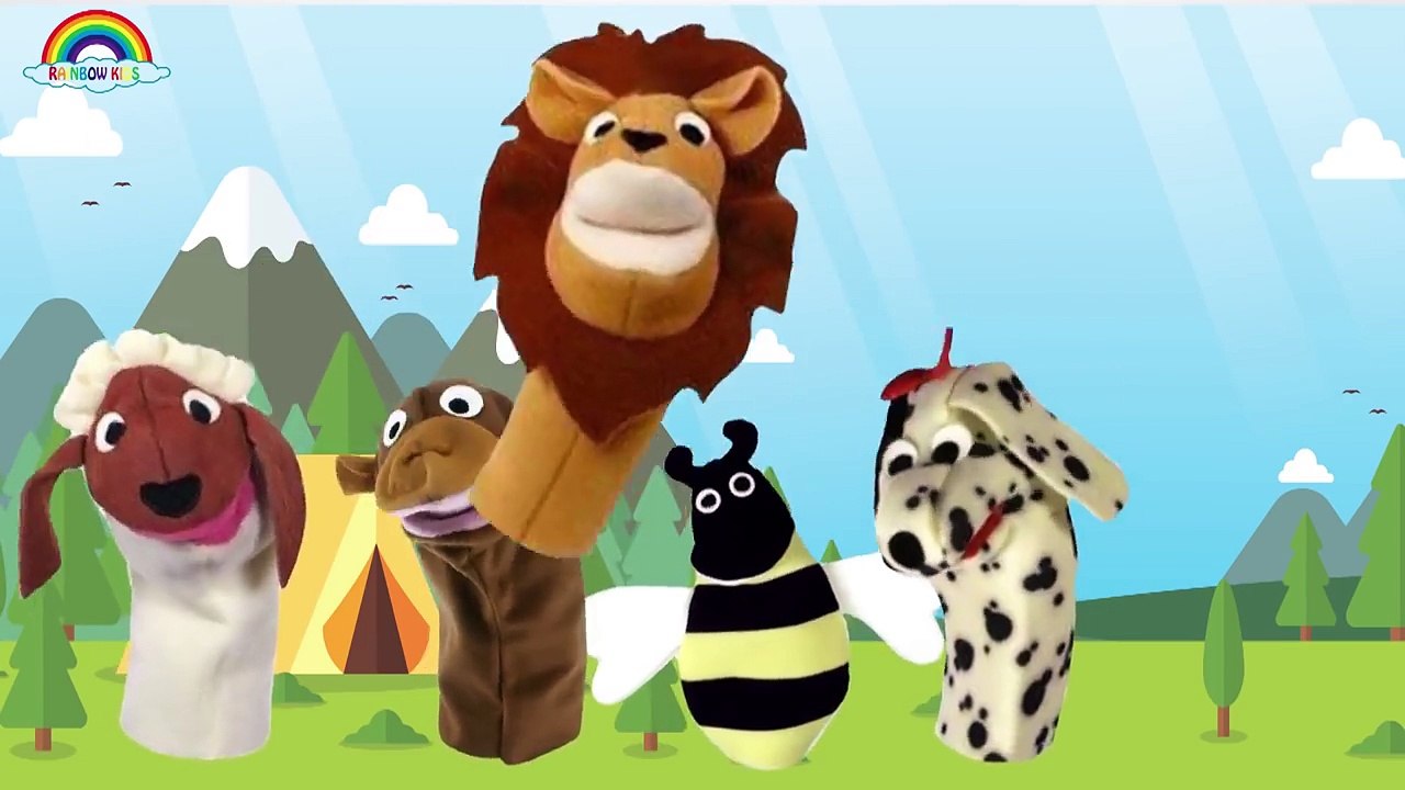 Baby Einstein Puppets Show Finger Family Songs - Daddy Finger Family Nursery Rhymes Lyrics #2