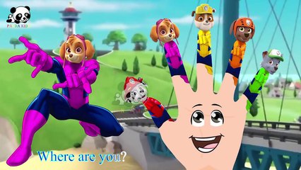 #Paw Patrol #Spider-man #Finger Family Songs #Nursery Rhymes Lyric & More Panda Kids