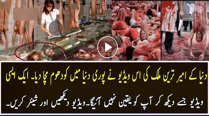 Human Slaughter House in the world