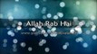 [Best] Allah Rab Hai by Maulana Tariq Jameel